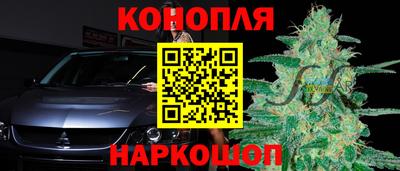 шишки Севастополь